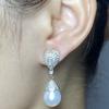 New Pearl Earrings AAAA 10-11m Natural South Sea Round Pearl Fashion Earrings 925 Pure Silver