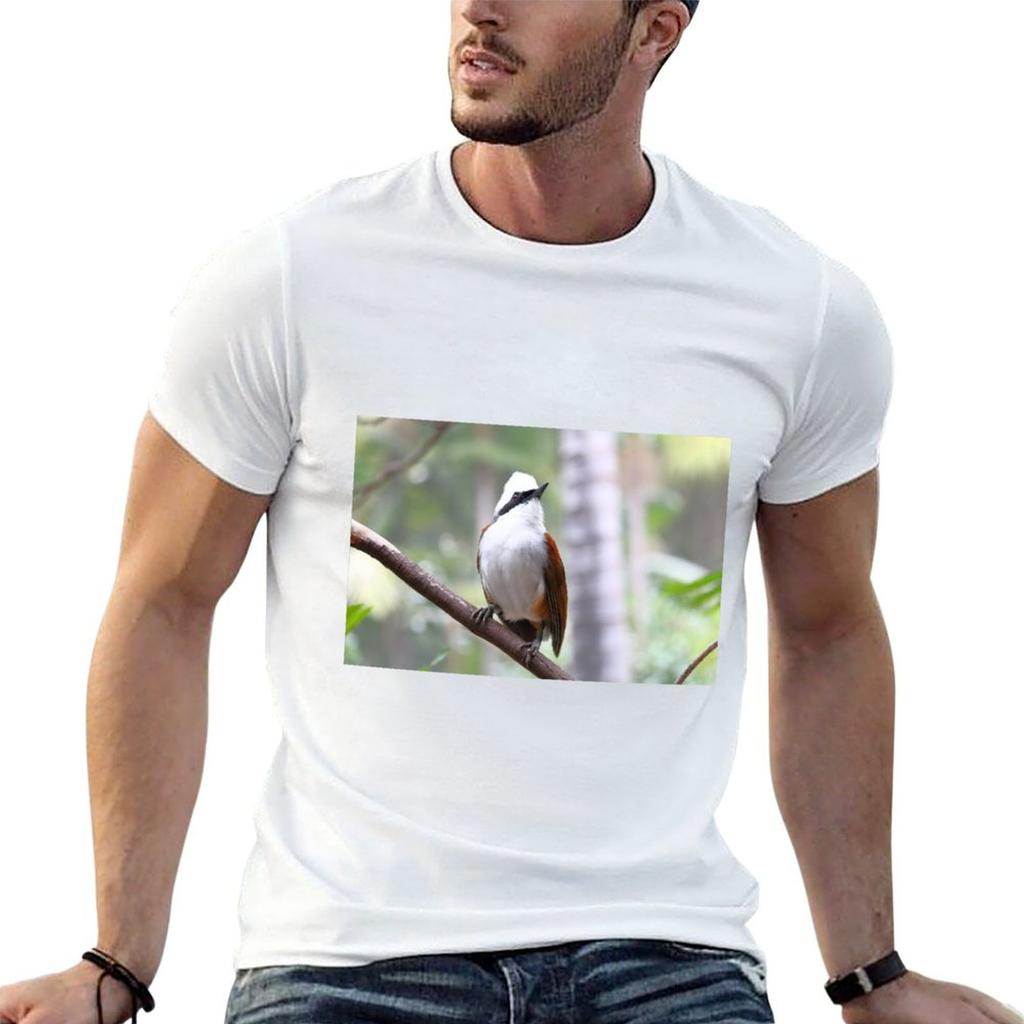 White-crested Laughingthrush T-Shirt T Shirts for Man Graphic Tees T Shirts for Man Cotton Funn