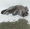 Sternensand Premium Katzenstreu: 4,5 kg, Natriumbasis, Staubfrei, Geruchlos, Deodorierende Feinstaubpartikel mit frischem Duft.
