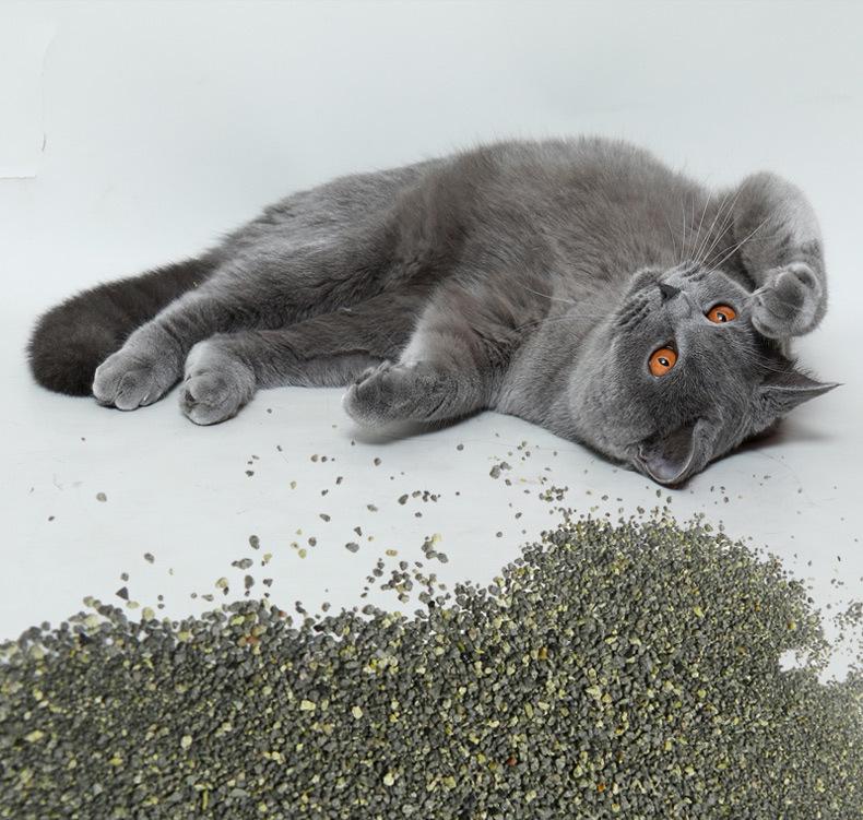 Sternensand Premium Katzenstreu: 4,5 kg, Natriumbasis, Staubfrei, Geruchlos, Deodorierende Feinstaubpartikel mit frischem Duft.