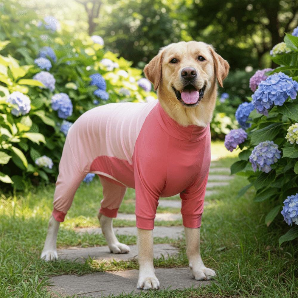 Soft Dog Jumpsuit Elastic Pet Recovery Suit Double Color Blocking Dog Sterilization Suit  Home Wear