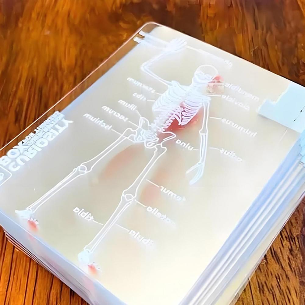 3D Image Educational Cards Reusable Funny Anatomy Poker Multi-Purpose Human Anatomy Playing Cards for Card Collectors