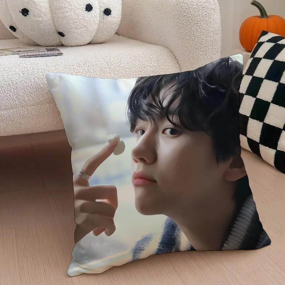 Classic Korean Handsome Singer BByun Baekhyun Cushion Cover Throw Pillow Cover Hidden Button Durable Polyester Chair Cushion