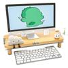 Desktop Laptop and Monitor Riser Stand with Storage Shelf