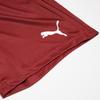 Puma Color Block Moisture Wicking Comfortable Versatile Sports Shorts Men Shorts Brown Red 704924-09