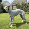 Soft Pet Turtleneck Clothes Elastic Pet Pajamas Casual Style Dog Four Legged Clothes  Indoor Wear