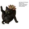 5/8-Inch Grooming Cat Planter Pot Playing Ball Cat Succulents Herb Plants Mini Flower Pot Container Home Balcony Garden Decoration