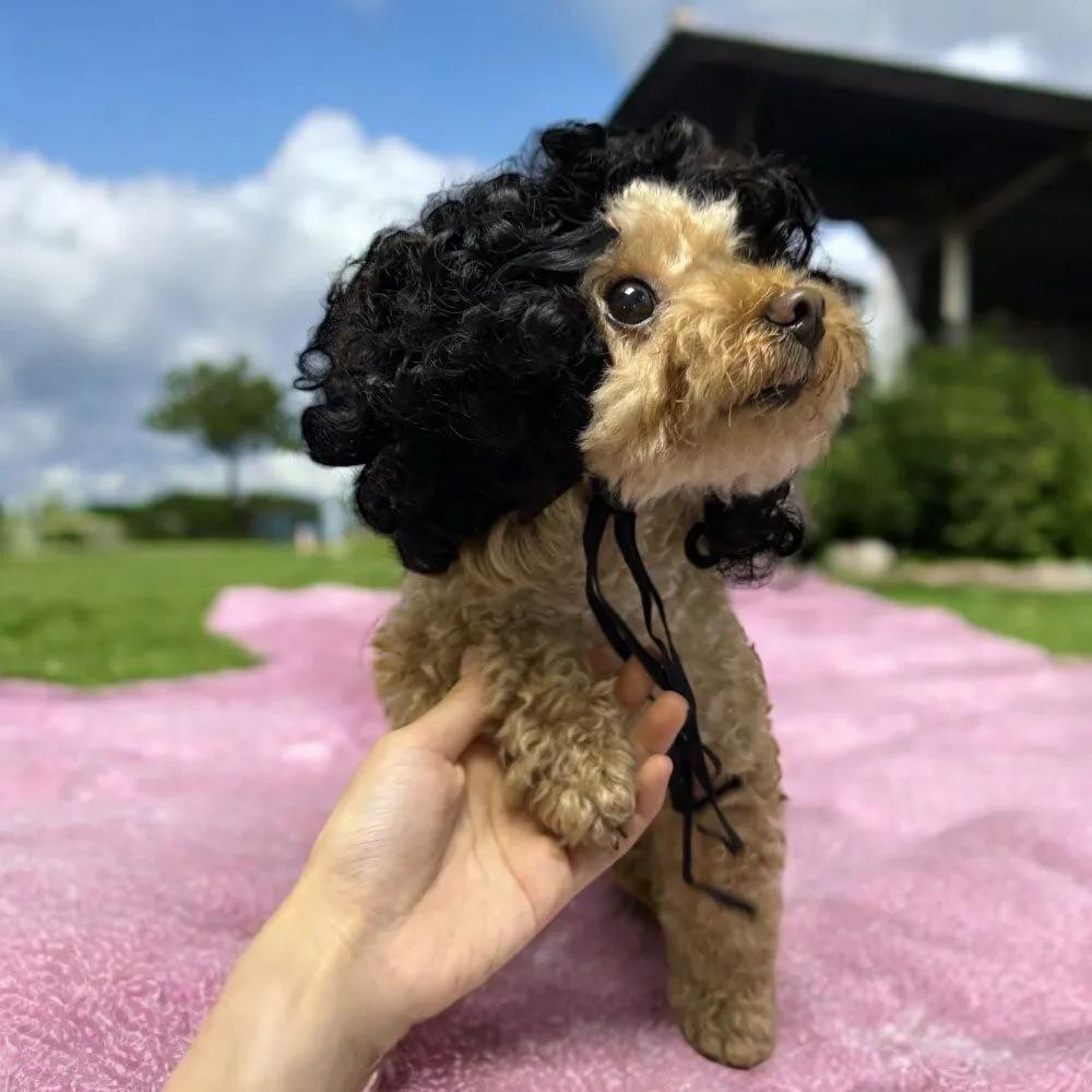 Orendell Mykol curly-haired puppy wig