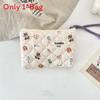 Cartoon Character Polyester Travel Organizer With Embossed Pattern For Women