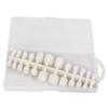 240pcs False Toenails Full Cover Multipurpose Glossy   Fake Toenails Full Cover for Home Nail Salon