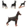 Childrens Pvc Black Doberman Dog Model For Farm Scene And Collectible Display