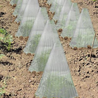10 Pcs Plant Cloches Transparent Garden Cloches PET Plastic Reusable Nursery Cover Plant