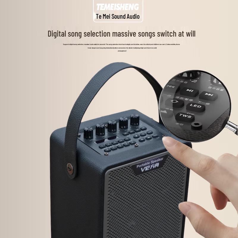 TEMEISHENG Ark V12 Portable Bluetooth Party Speaker CN Plug (adapter Included) (CN Version)