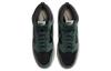 Nike Dunk High Premium 'Faded Spruce' DQ7679-002