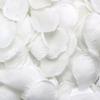 ABUL-5000 Rose Petals Scattered White Decoration Wedding Party