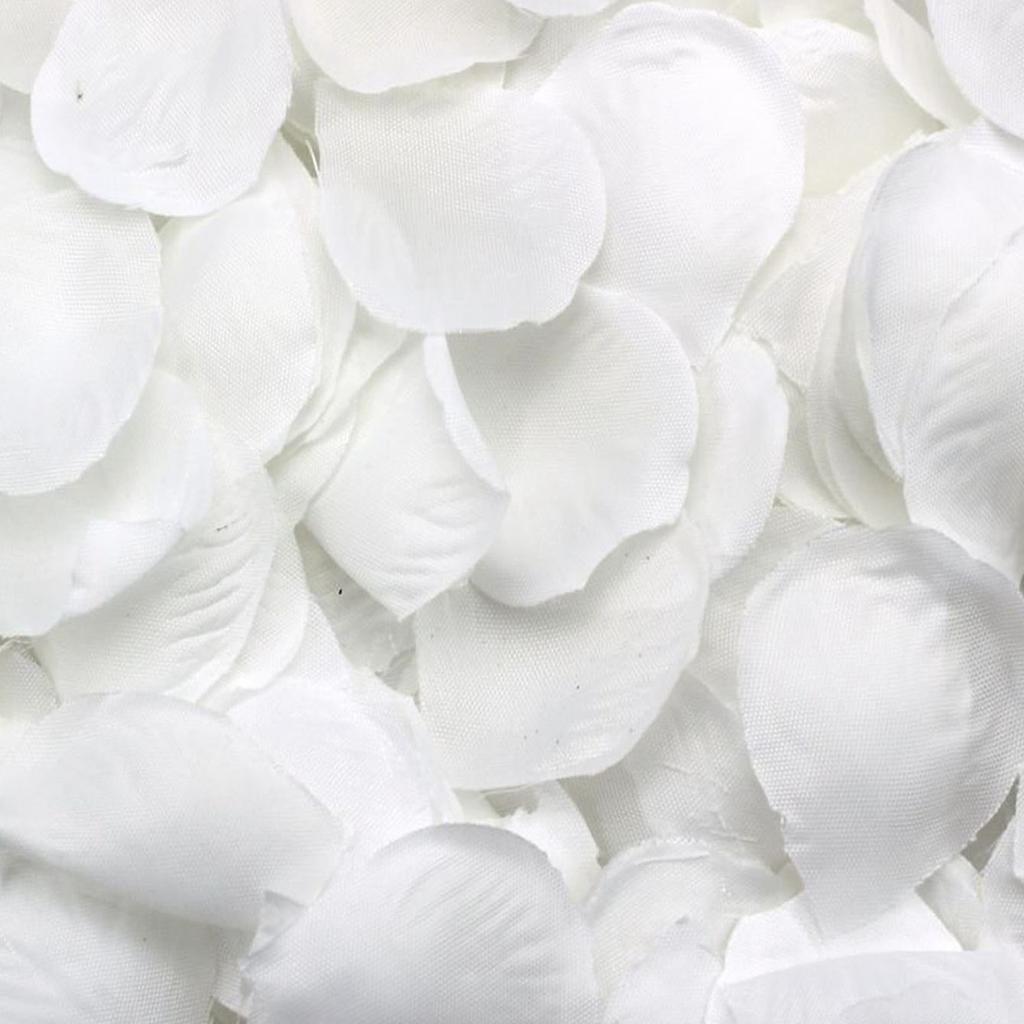 ABUL-5000 Rose Petals Scattered White Decoration Wedding Party