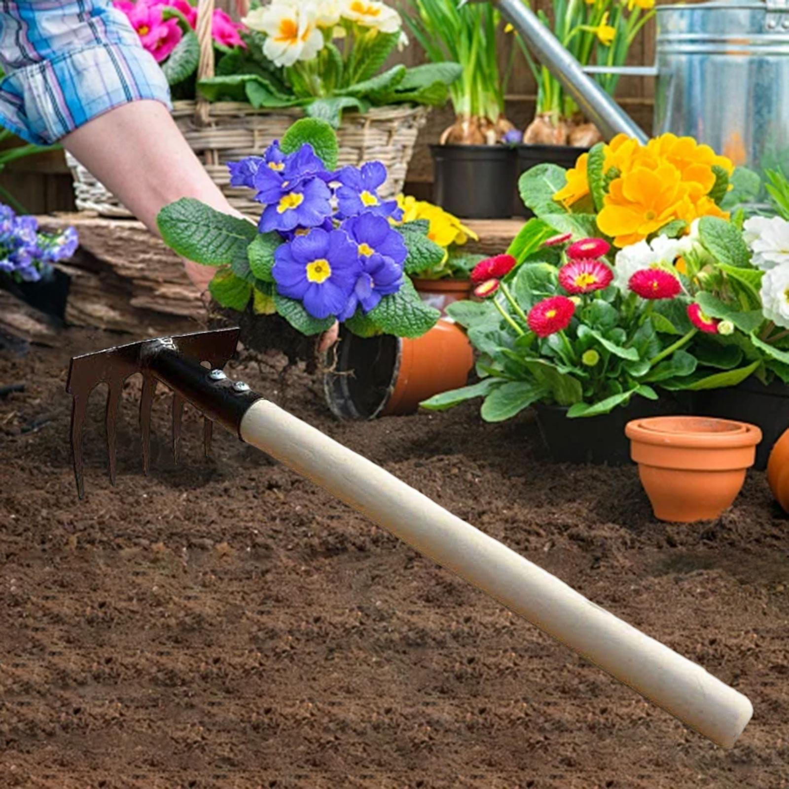 

Садові граблі Інструмент для прополки важких умов для власників газонів 5 Tines