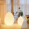 Nordic Egg-Shaped Table & Floor Lamp: Luxury Smart Lighting for Bedroom and Living Room