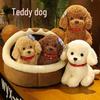 Cute Teddy Dog Sleeping Plush Toy - Children's Companion Doll