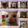 Cartoon Katze Meme Kissenbezug Naturleinen Kissenhülle Doppelseitiger Druck Dekorative Sofakissenhülle Heimdekoration Geschenk