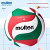 Molten Indoor Volleyball