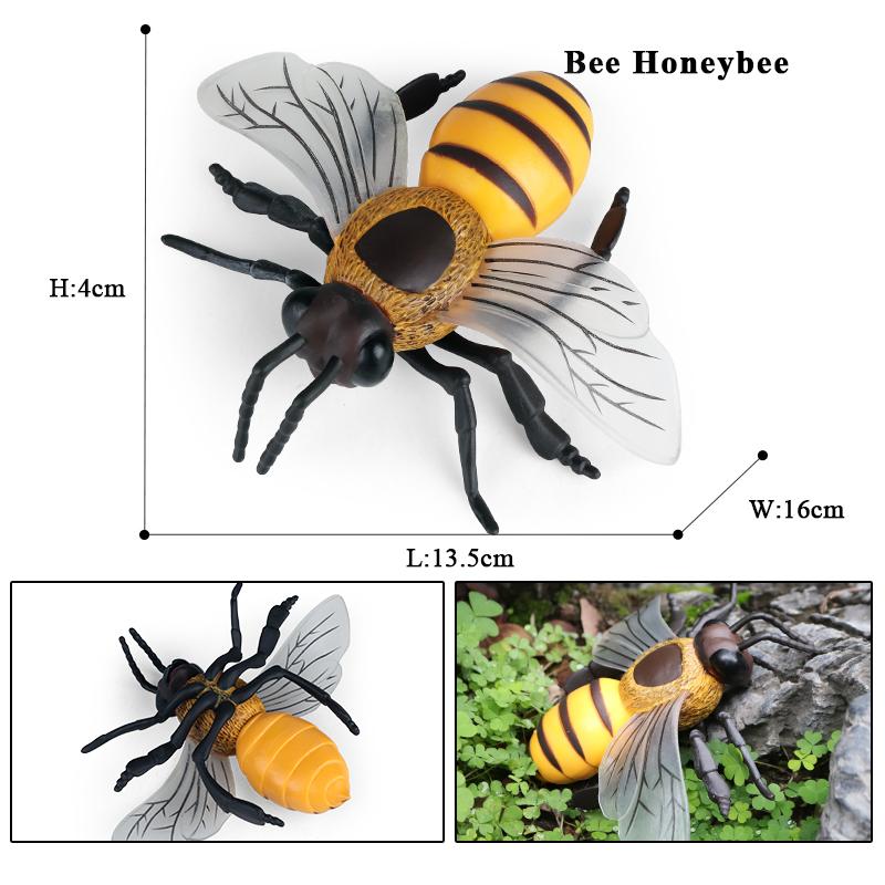 Oenux Wild Insect Animals Model Mantis Grasshopper Butterfly Bee Beetle Action Figures PVC Science Education Collection Kid Toy