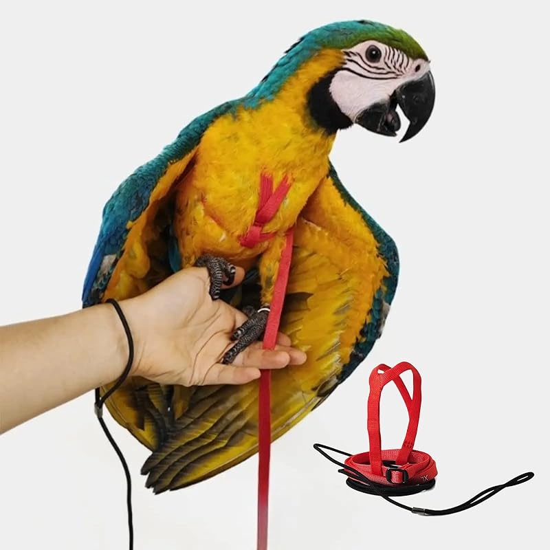 Adjustable Bird Harness with 78.7 Inch Leash, Outdoor Flying Training Rope Kit for Bird Parrots, Parrot Flying Rope Straps Outdoor Training Traction