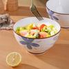 Hegawaya Japanese Ceramic Noodle & Rice Bowl Set