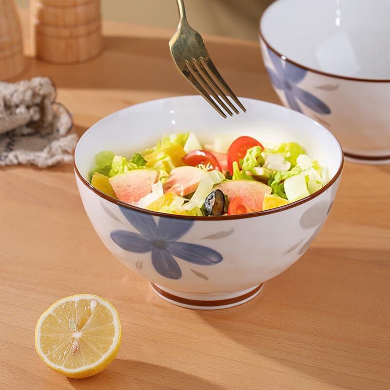 Hegawaya Japanese Ceramic Noodle & Rice Bowl Set