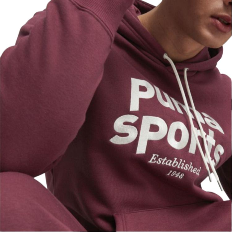 Puma Team Fleece Hoodie Letter Print Pullover Long Sleeve Vintage American Sweatshirt Men hoodies Red 625206-22