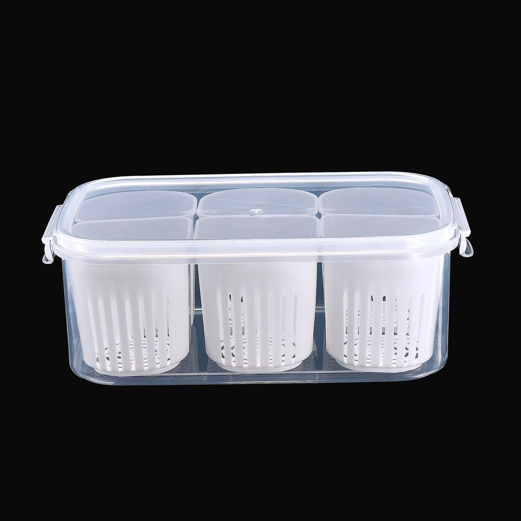 Kitchen Scallion Storage Box 6 in 1scallion Ginger Garlic Fresh-keeping Box Refrigerator Fruit Food Fresh-keeping Drain Box