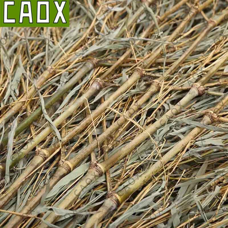 CAOX Outdoor Heavy-Duty Cleaning Broom