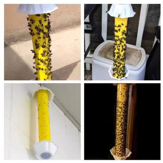 Fruit Fly Trap Sticky Catcher Honey Grape Juice Bait Glue Strong Viscosity