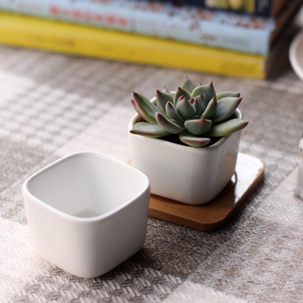 Amosfun Set of 3 Mini Ceramic Plant for and Baby Shower Simple Pots, White, Square, Tabletop, Succulents, Cacti, Herbs, Decorations. Design.