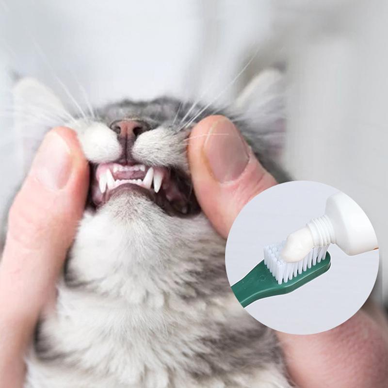Pet Double headed Toothbrush Set Double Head Dog Toothbrush Dog Cat Oral Cleaning Cat Dog Convenient Finger Brushes
