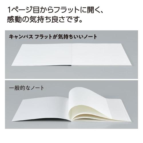 KOKUYO Campus Flat Comfort Note Dot A-lined B5 3 Color Pack NO-FL3CATX3