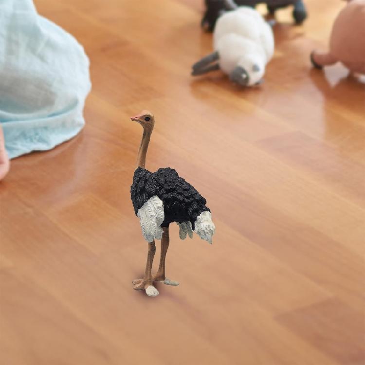 Ostrichs Figurine Realistic Plastic Wild Animals Ostrichs Model Educational Learning Toy Ostrichs Models Birthday Gifts