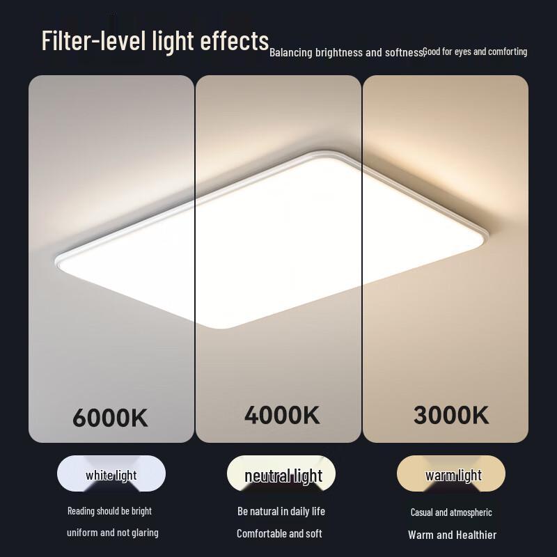 Xuanyong Living Room LED Ceiling Light