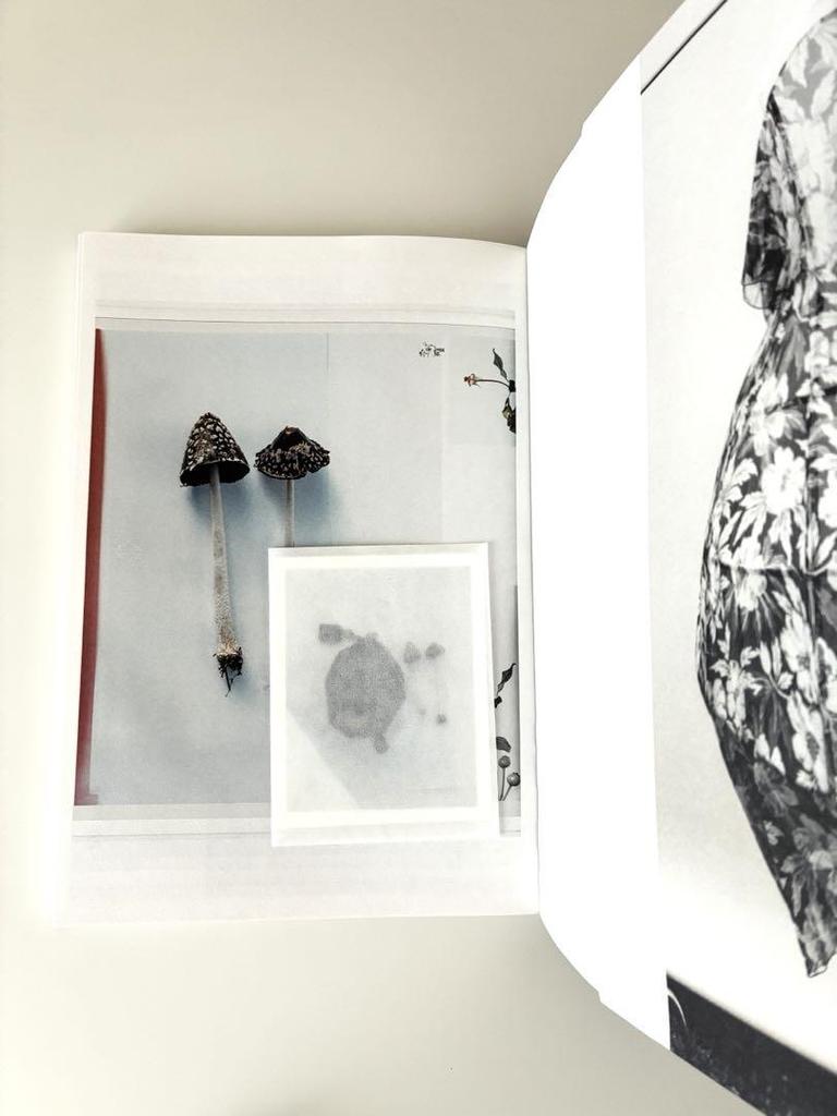 [USED] Reduced price! LOEWE ISSUE 6 7 set art book interior goods