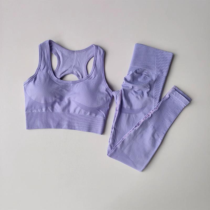 Women's Quick-Dry Seamless Sports Bra and Leggings Set - Shockproof Vest for Running and Yoga