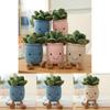 Lifelike Succulent Plants Plush Stuffed Toy Featuring Super Soft Fabric Ideal For Kids