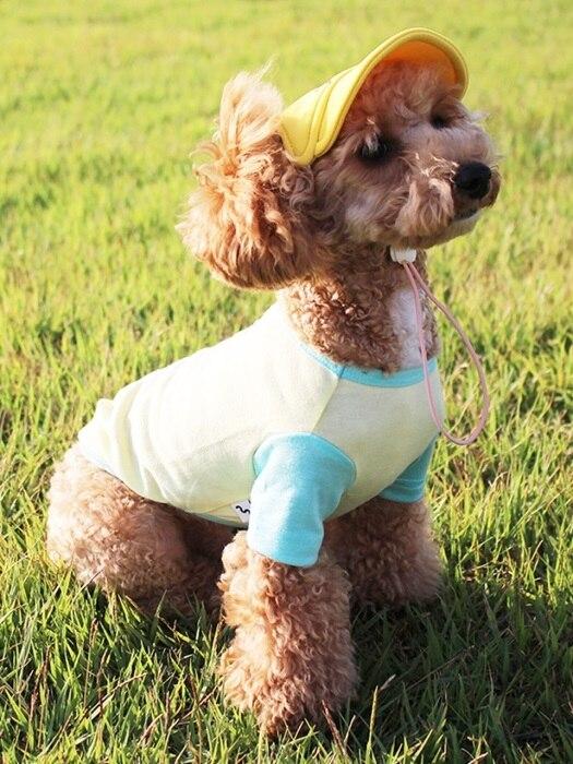 

GRAY CEREAL color block short sleeve T-shirt - Mint XL