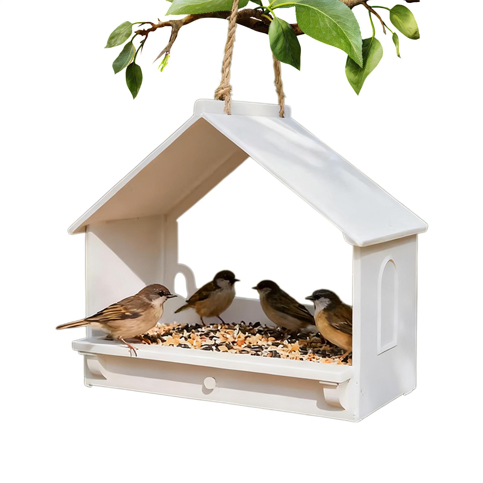 

Multi-functional Window Hummingbird Bird Feeder Decorative Hanger Transparent Back Bird House Feeder For Squirrel Garden China Mainland