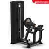 Zhenglun Commercial Back & Abdomen Trainer