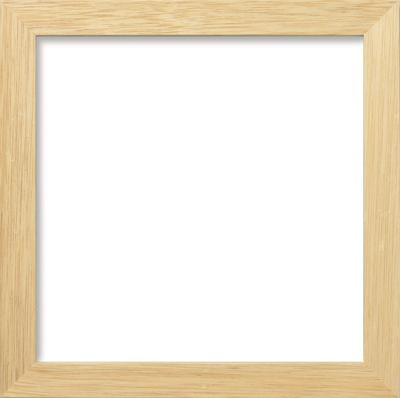 Olympus Wooden Frame W-38