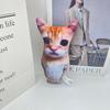 Cute El Gato Cat Plush Toys Wowwow Cat Dolls Plushies Simulation Happy Cat Plush Toys Birthday Holiday Gift Kids Room Decoration