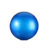 WEZHO Thickened Yoga & Fitness Ball