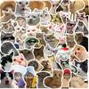 50Pcs Cute Meme Animal Cat Kitty Stickers Skateboard Guitar Suitcase Freezer Motorcycle Classic Toy Decal Funny Sticker Gifts