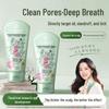 Three Master Hair Stylists Purifying Anti-Dandruff Shampoo