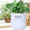 5PCS Non-woven Fabric Tree Planting Bags Thickened White Large Saplings Seedling Pots Garden Flower Pots Nursery Grow Bags